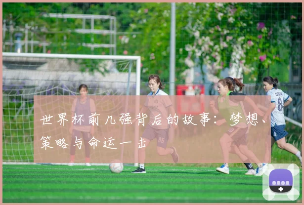 世界杯前几强背后的故事:梦想、策略与命运一击