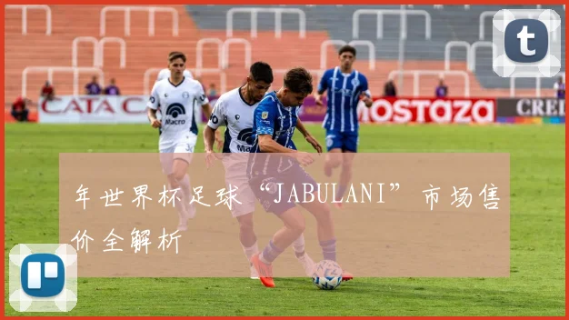 年世界杯足球“JABULANI”市场售价全解析